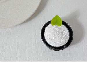 丝瓜污视频下载二氧化锆(催化剂用)